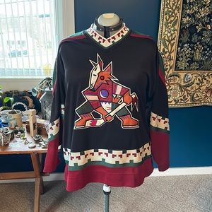 Starter Phoenix Coyotes Hockey Jersey in an XL.
